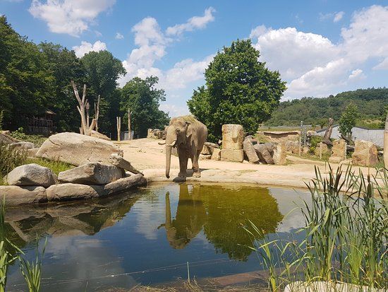 Jardín zoológico de Praga